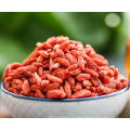 venta caliente precio de goji